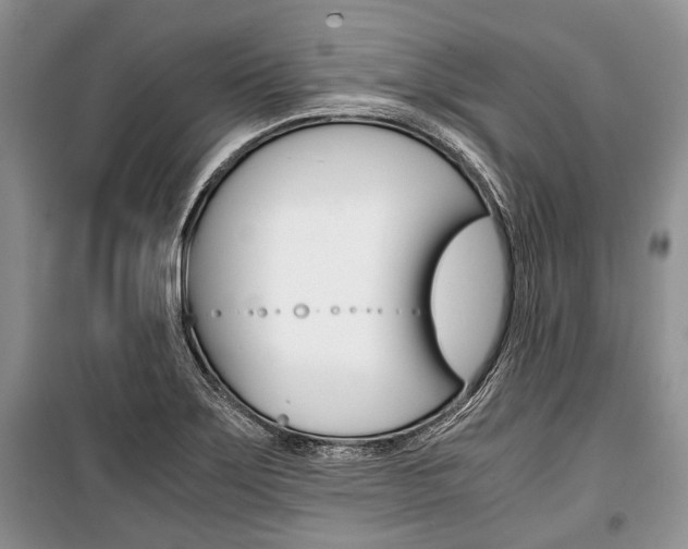 X0000101101275200806261036