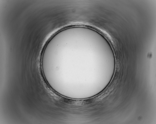 X0000101101279200806261036