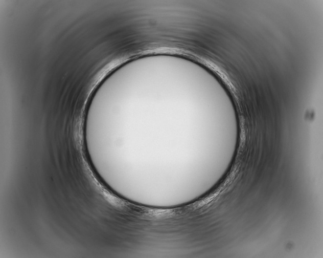 X0000101101282200806261035