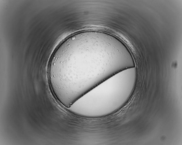 X0000101101283200806261035