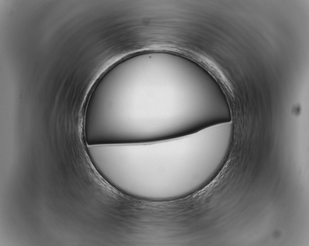 X0000101101284200806261035