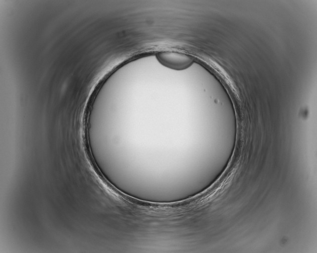 X0000101101285200806261035