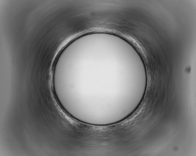 X0000101101286200806261035