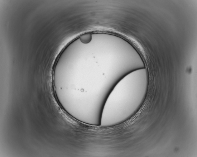 X0000101101287200806261035
