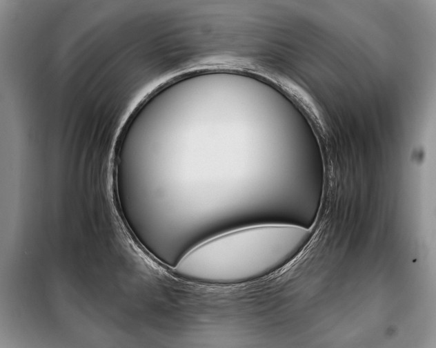 X0000101101288200806261035