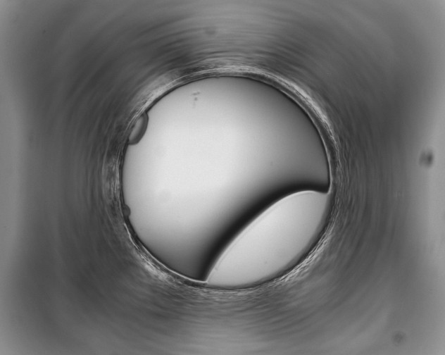 X0000101101289200806261035