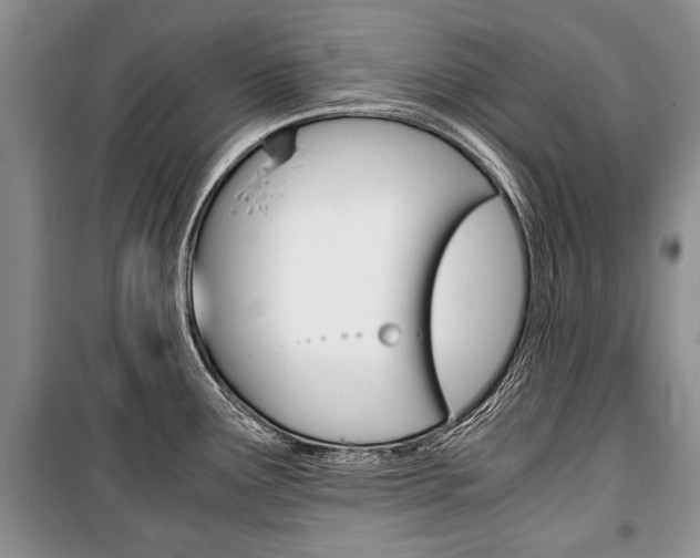 X0000101101291200806261035