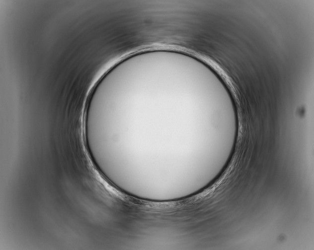 X0000101101294200806261035