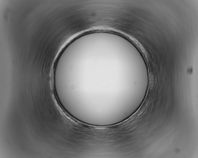 X0000101101295200806261035