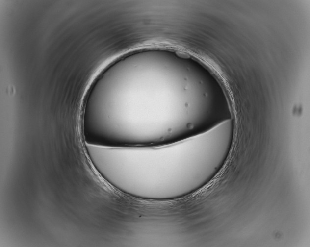 X0000101101296200806261035