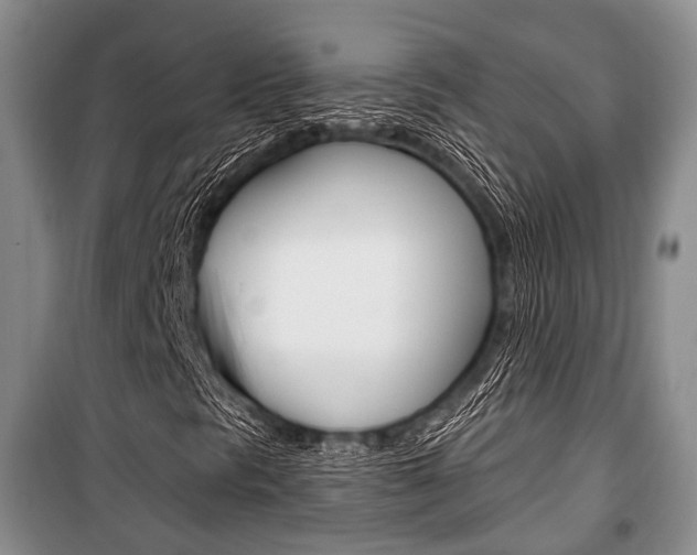 X0000101101297200806261035