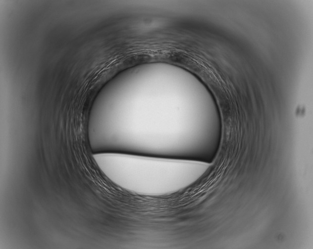 X0000101101298200806261035