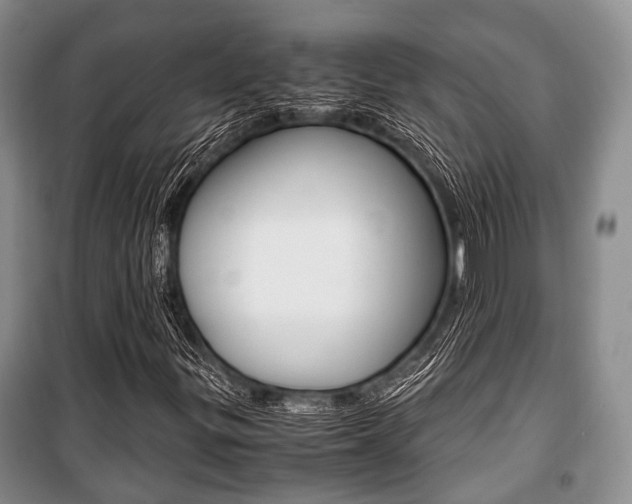 X0000101101299200806261035