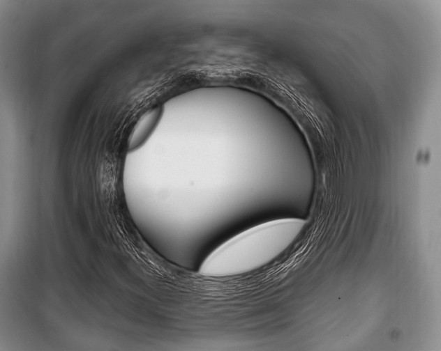 X0000101101300200806261035