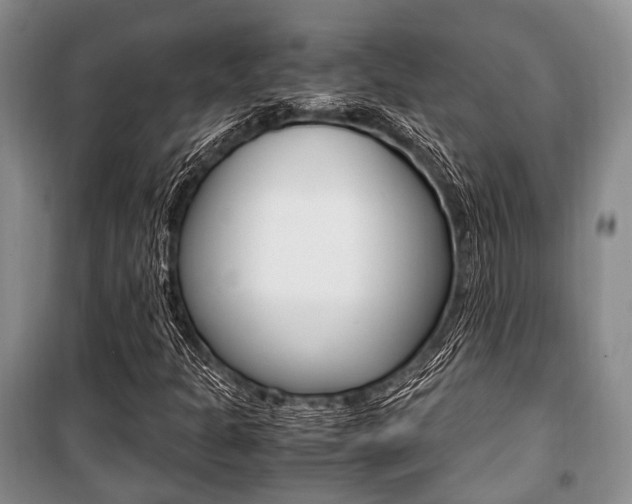X0000101101301200806261035