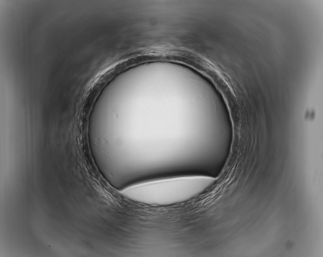 X0000101101304200806261035