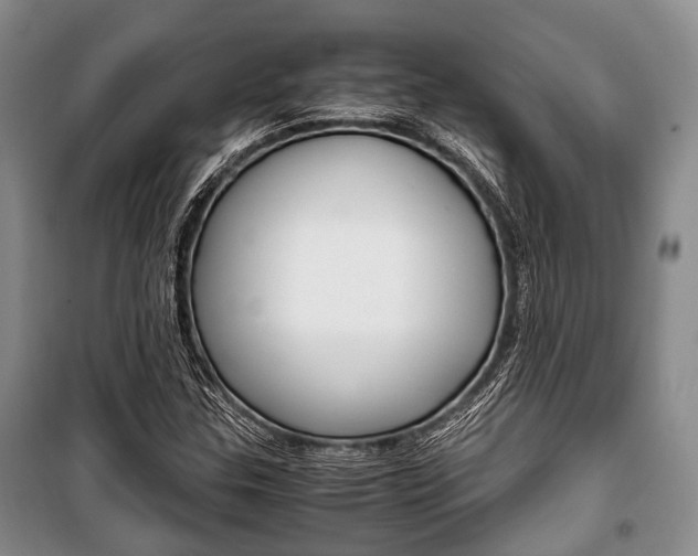X0000101101307200806261035