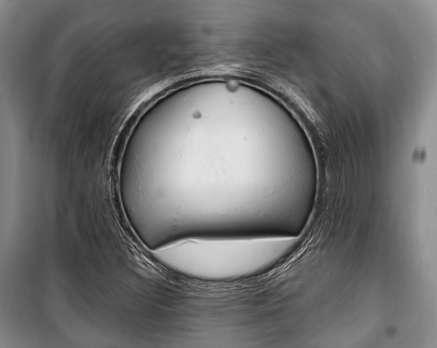 X0000101101308200806261035