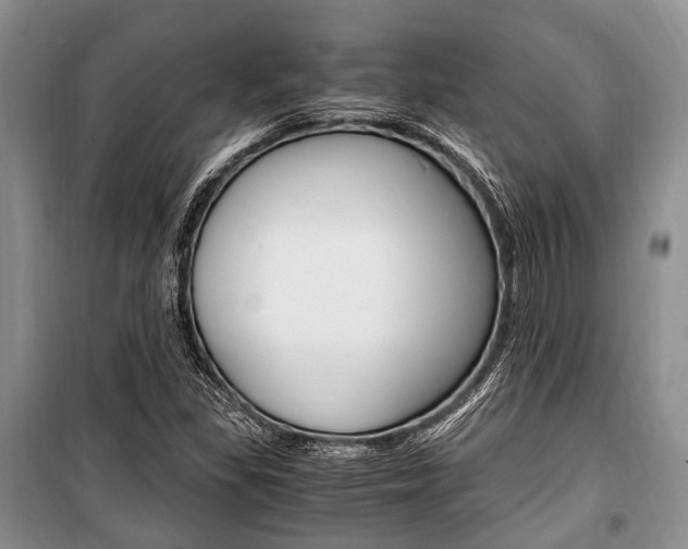 X0000101101309200806261035