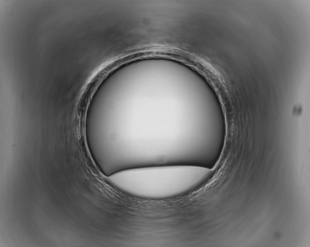 X0000101101310200806261035