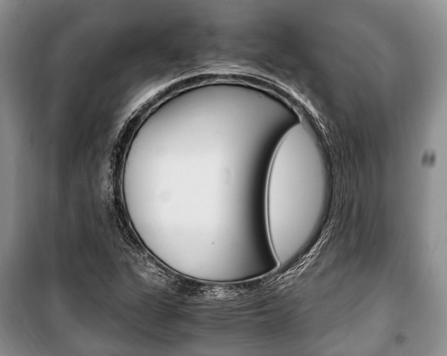 X0000101101311200806261035