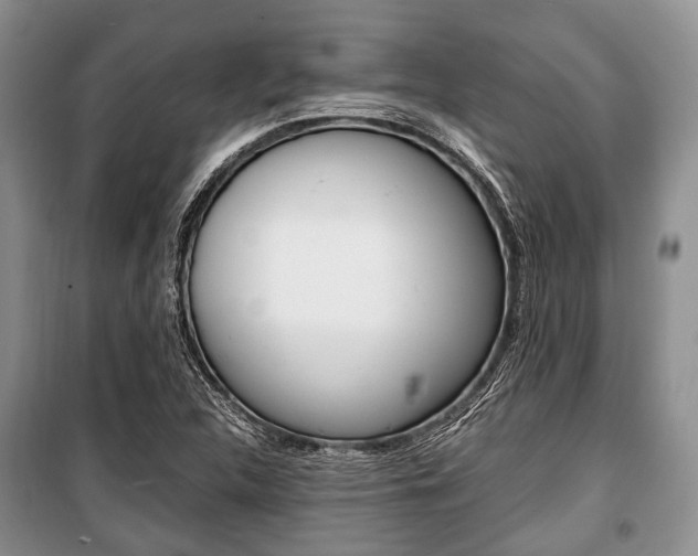 X0000101101312200806261035