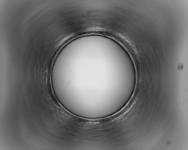 X0000101101313200806261035
