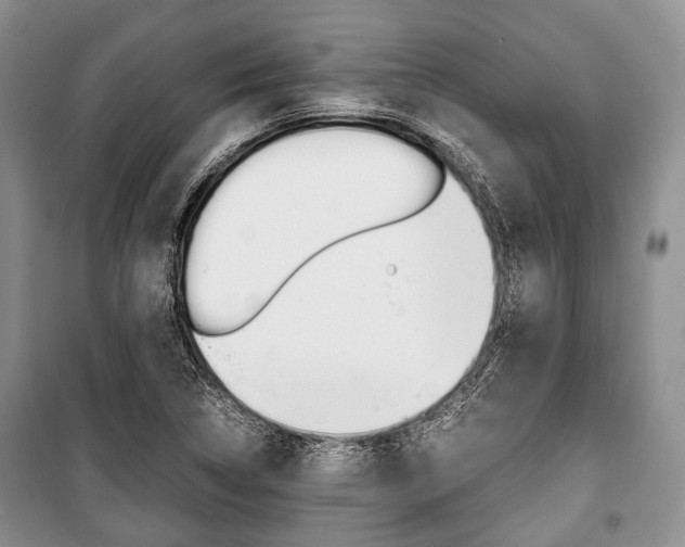 X0000101101314200806261035
