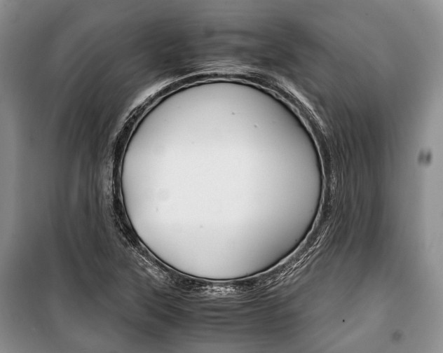 X0000101101315200806261035