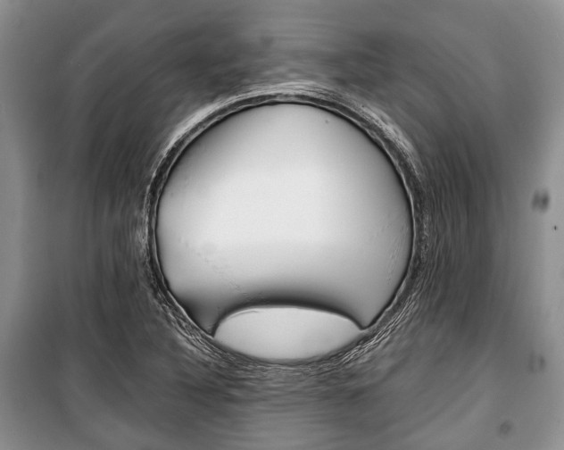 X0000101101316200806261035