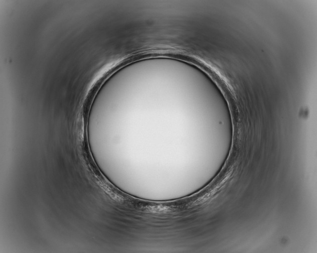 X0000101101317200806261035