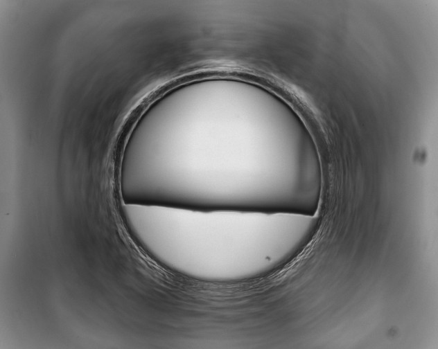 X0000101101318200806261035