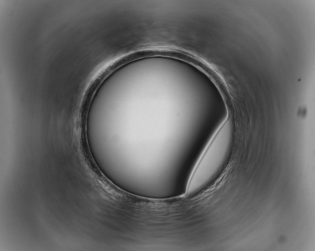 X0000101101319200806261035