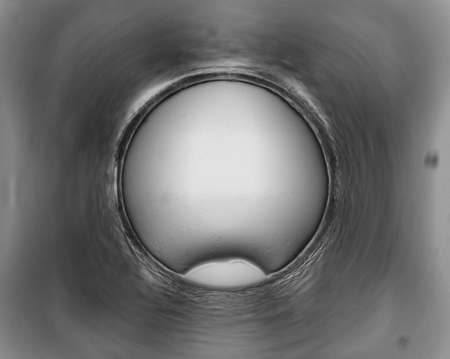 X0000101101320200806261035