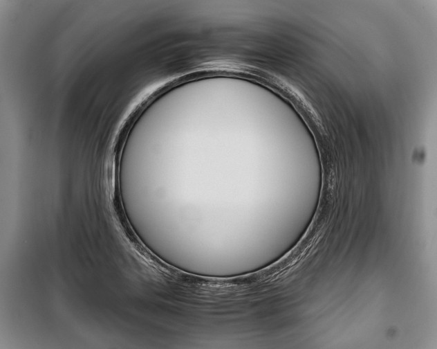 X0000101101323200806261035