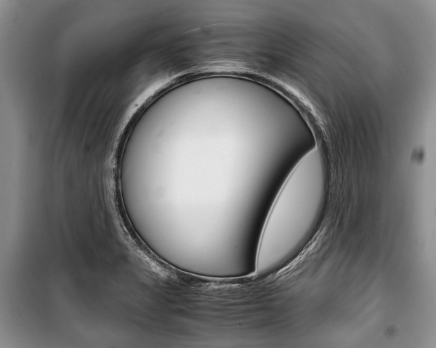 X0000101101325200806261035