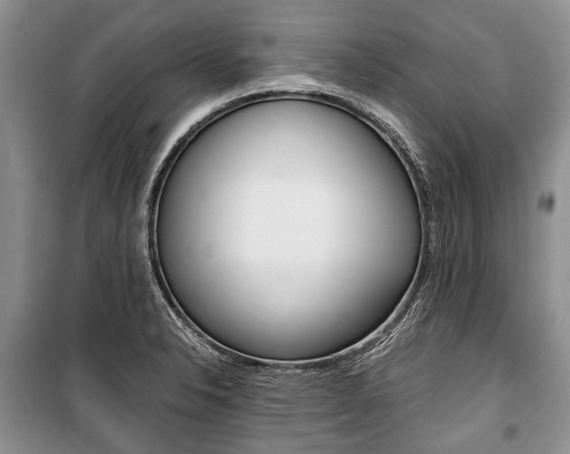 X0000101101326200806261035