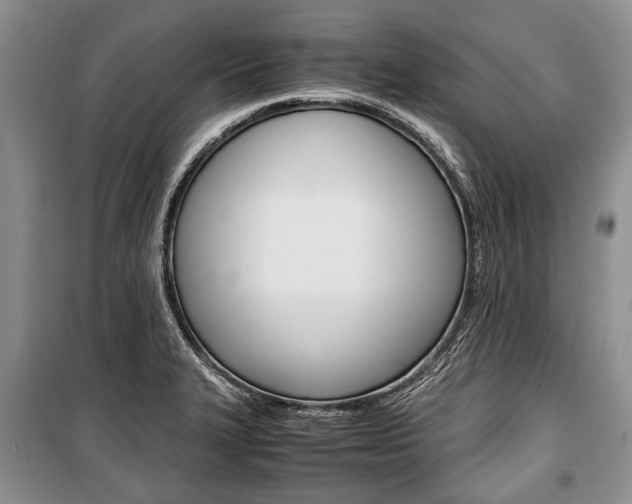 X0000101101327200806261035