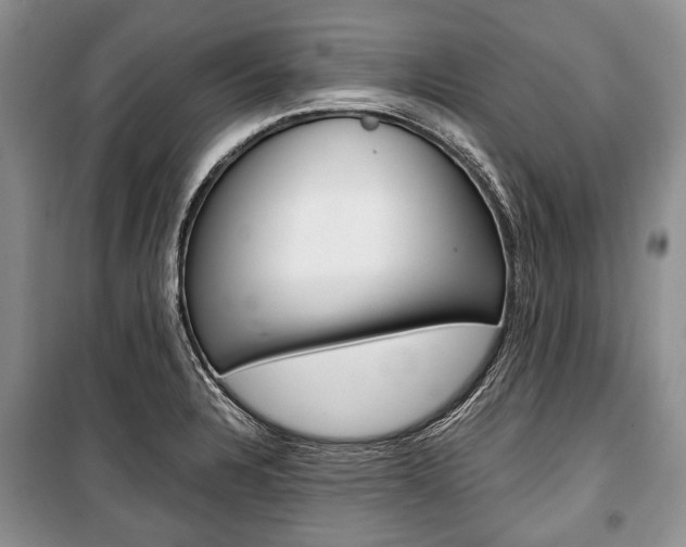 X0000101101328200806261035