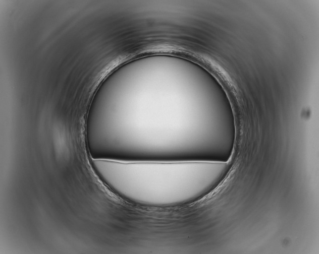 X0000101101329200806261035