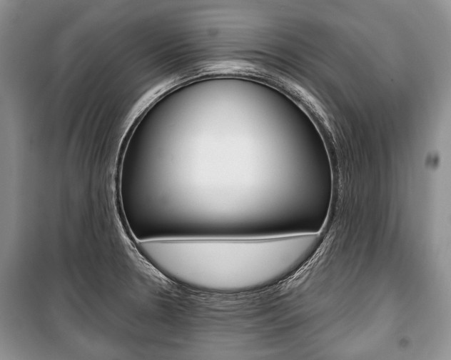 X0000101101330200806261035