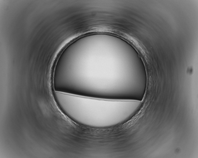 X0000101101331200806261035