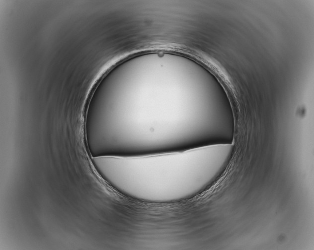X0000101101332200806261035
