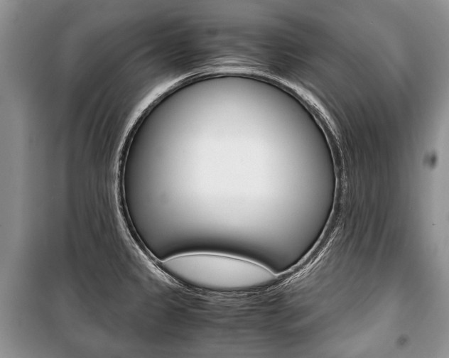 X0000101101333200806261035