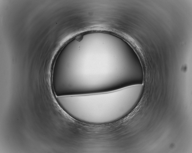X0000101101334200806261035