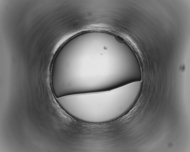 X0000101101336200806261035