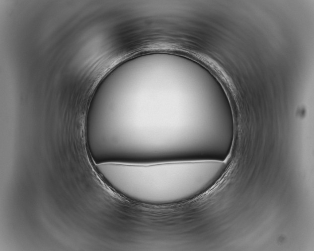 X0000101101337200806261035
