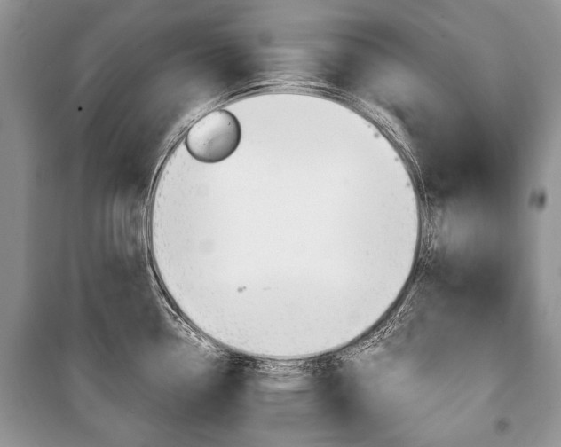 X0000101101338200806261035