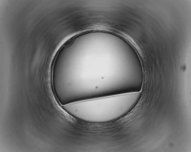 X0000101101339200806261035