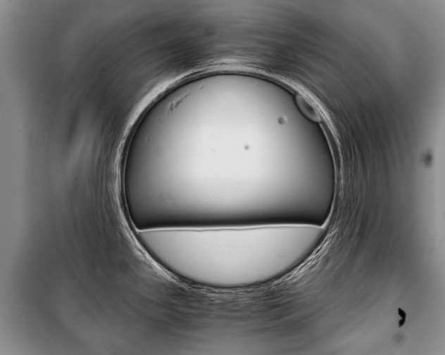 X0000101101341200806261035
